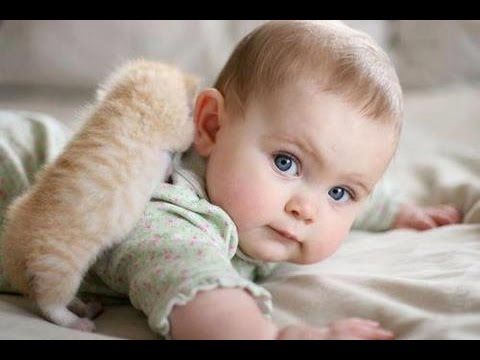 La ternura de los gatos con los bebés