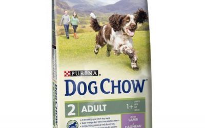 Saco de pienso 14 KG comida para perros adultos DOG CHOW con cordero