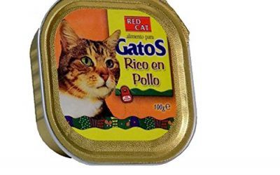 Bandeja paté rico en pollo 100g comida para gatos