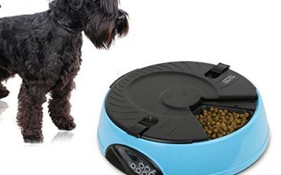 OH-BOX® Alimentador automático del animal doméstico de comidas Dispensador de alimentos cuencos 6 comidas para perros de los gatos con pantalla LCD digital y grabadora de voz (Azul)