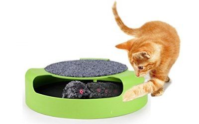 MWS2319 Juguete para gatos con ratón atrapado en el interior (25 cm) , mascotas