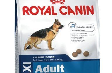 Royal Canin Maxi Adult 15 kg , mascotas