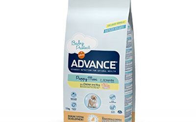 Advance Puppy Protect Maxi 12 kg