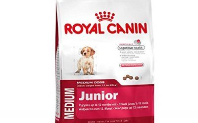 Royal canin medium junior pienso perros raza mediana