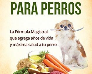 Comida Casera y Natural para Perros: Una opción Sana, Nutritiva y Deliciosa