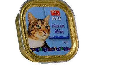 Bandeja paté rico en atún 100g comida para gatos