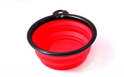 Viajes Tazón de la marca PRECORN Perro Gatos Mascotas plato del alimento tazón plegable cuenco de agua en el color rojo