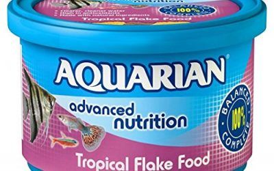 Acuario de peces tropicales de comida Flakes 50g , mascotas