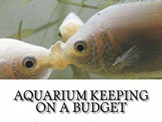 Aquarium Keeping on a Budget (English Edition)