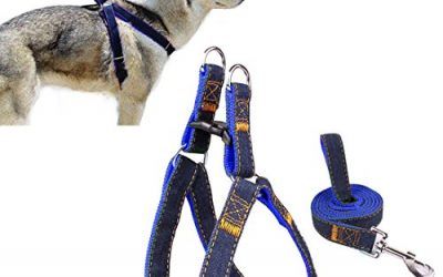 Arnés del animal doméstico, perro lleva Ambielly Jean Correa No-Pull perro / gato con la seguridad del perro hebillas de liberación rápida del arnés de la correa de cadena de la cuerda del vaquero (Azul oscuro, XL)