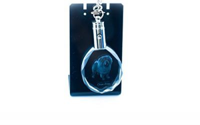 Chow-chow, Perro Cristal Llavero, Llavero, alta calidad, regalo excepcional , mascotas