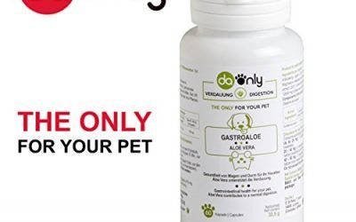Salud gastrointestinal para tu mascota, indicado para intestino irritable, gusanos intestinales, lombrices en perros, alternativa natural a los medicamentos para enfermedades de perros, aloe vera para gatos y perros DAONLY