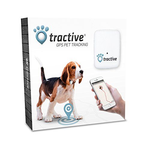 Tractive – Rastreador GPS de mascotas, color blanco