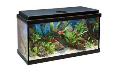 Acuario Aqua Led 64 Litros