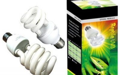 Reptile – Bombilla en espiral compacta, niebla UVB 5.0, de emisión de rayos UVA y UVB, de bajo consumo, 13 watt