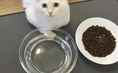 G.G.G. Simple Perro De Mascota De Alimentos Para Gatos Alimentando La Estera De Grado Alimentario De Silicona Impermeable Anti-Fugas Antideslizante Bowl Place Mat Grandes (gris) , mascotas