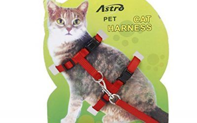 Ajustable Correa Cuerda Arnes Collar Para Mascota Gatos Seguridad Nylon
