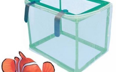 961 RED 425 CUBO DE ACUARIO PISCICULTURA NEST JUGAR PESCIOLINI