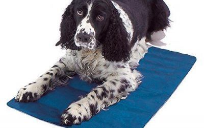 Esterilla refrigerante para mascotas – Cama para perros – Ideal para el coche – 40 x 50 cm