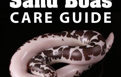 East African Sand Boas Care Guide (aka Kenyan) (English Edition)