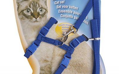 FEESHOW Gatos Regulable Arnés Collar Duradero Animal Paseo Correa Mascota Conejo Azul Talla Única