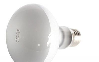 Reptil Haz de Luz Bombilla Iluminación Calor Lámpara Concentrada Luz de Sol 100w / 75w / 60w / 50w / 40w / 25w – 40w