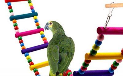 UEETEK Juguete de ave colorida escalera, escaleras Flexible 12 puente de arco iris madera columpios para loros mascotas Trainning (Color al azar)