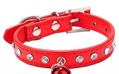 Collar de gato de diamante para gatitos pequeños perrito cachorro con hebilla y campana rojo