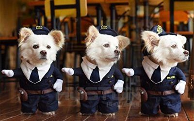 Aution House – Disfraces de Mascotas – El Policía , Marinero , Cowboy Uniforme para Fiesta , Navidad , Cumpleaños , Bodas , Desfiles , etc – Ropa Divertida para Perritos y Gatitos (L, Policía)