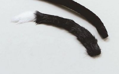 Bristol Novelties – Disfraz de halloween gato adultos, talla 60 cm (BA037) , mascotas
