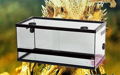 TERRARIO DE CRISTAL PARA REPTILES CON RESPIRADEROS PARA REPTILES INSECTOS , mascotas