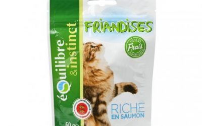 Friandise e & I AU peces gastos Riche AU salmón