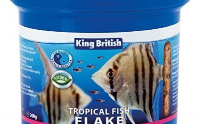 Rey británico Tropical purpurina 28 G