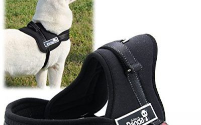 XCSOURCE® Chaleco Correa Nylon Arnés Control Acolchado Ajustable Seguridad para Perro Gato Grande Color Negro S PS016