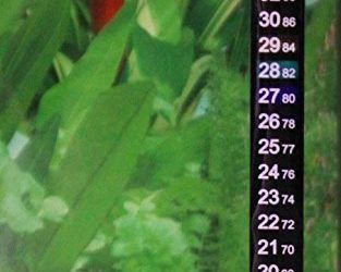 Dual Scale C/f Aquarium Fish Tank Thermometer Sticker Adhesive Sticky Hygrometer Reptile by Zalary