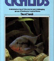 Title: Central American Cichlids , mascotas
