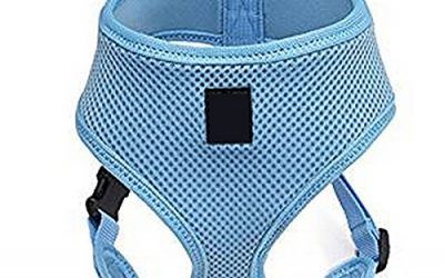 UEETEK Collar de perro arnés gato Pet Safe Control correa chaleco Leash de seguridad para perros – talla L (azul)