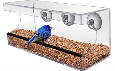 Comedero transparente – Ventana ventosa Comedero, niños y gatos les encantará. – Fácil de Limpiar – Comer Pájaros directamente Antes de Su Ventana