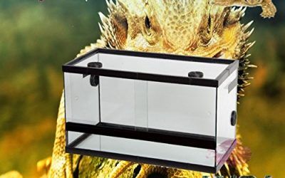 TERRARIO DE CRISTAL PARA REPTILES CON RESPIRADEROS PARA REPTILES INSECTOS
