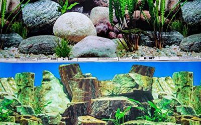 12 «doble cara brillante peces de fondo de acuario tanque Reptile Vivarium Marino