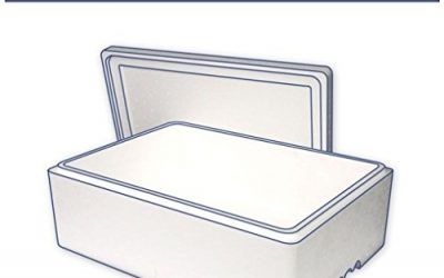 Eden Elfos 2 x 22 L, poliestireno, Cool peces caja de transporte, Poly caja con tapa