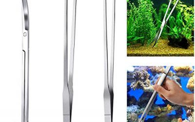 UEETEK Acuario Kit herramienta accesorios acero inoxidable acuario tanque agua planta pinzas tijeras herramientas peces Set Starter Kits