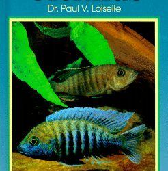 Fishkeepers Guide to African Cichlids