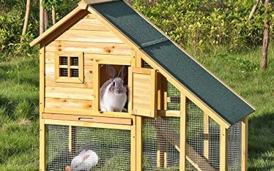 iKayaa AB2001 – 55 pulgadas Jaula doble con rampa para conejos gallinas aves de corral para exterior,madera de abeto