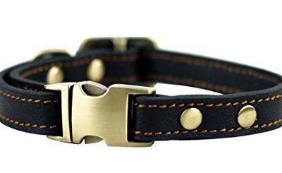 ZEEY Collares de cuero para mascotas para perros pequeños, cuello ajustable 24cm-36cm y 1,5 cm de ancho, hebilla de metal clásico básico de cuero sólido collar de perro (Black)