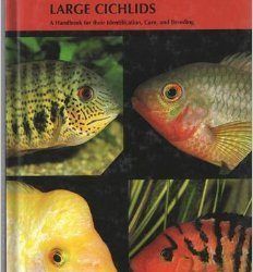 American Cichlids II: Large Cichlids : A Handbook for Their Identification, Care, and Breeding