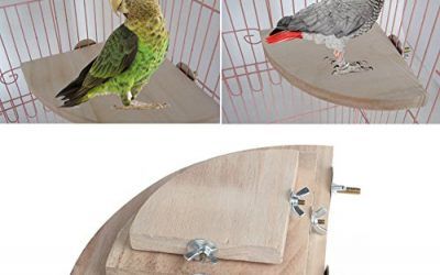 Top-Sell 10CM Plataforma de madera para mascotas hámster, rata Chinchillas Guinea Pig Conejo deporte jugar ejercicio juguete loro guacamayo pájaro africano Greys Cockatiel Finch Conure jaula juguete