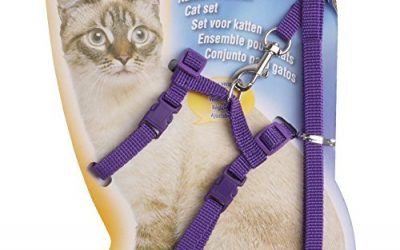 Freebily Arnés con Correa para Mascota Gato Gatito Duradero Permeable al Aire con Correas Ajustables Morado talla única , mascotas