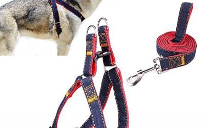 Arnés del Perro, Goodid Arnés con Correa Ajustable de Vaquero para Mascotas Perro,Gato,Cinturón de Pecho y Espalda,Hombro para Llevar Perros con Seguridad para Perro Pequeño,Mediano,Grande (Rojo, M)
