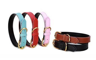 Collares clásicos básicos de cuero acolchado para mascotas, gatos, cachorros pequeños, perros medianos y chicos